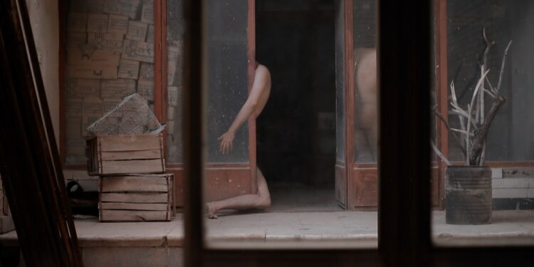 خون، شراب و مرگ | عکس‌های آرمین بهارلویی