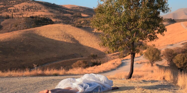 خون، شراب و مرگ | عکس‌های آرمین بهارلویی