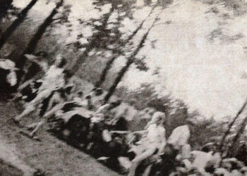 بالقوّگی و قانون