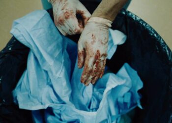 کشتن گوزن مقدس یا: در باب ضرورت جنایت