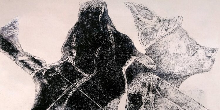 رنج عمیق دگردیسی | نقاشی‌‌های ساناز حائری