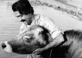 فرمالیسم نفی