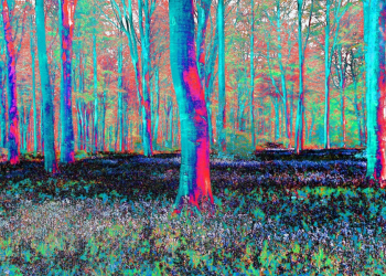 شور بی‌خویشتنی