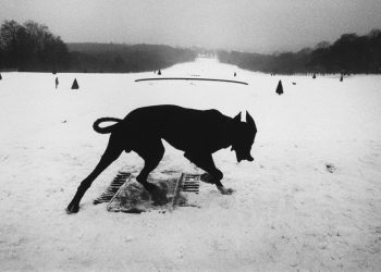 سه شعر از جیم صاد